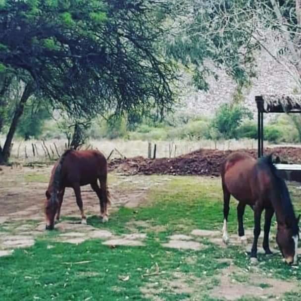 Hacienda Casa Blanca *